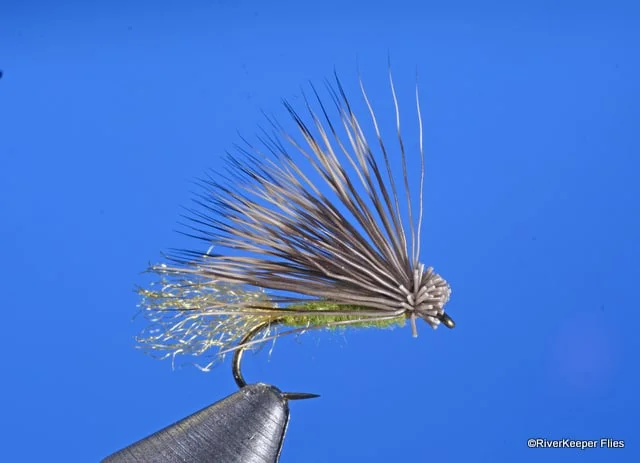 X Caddis - Olive | www.johnkreft.com