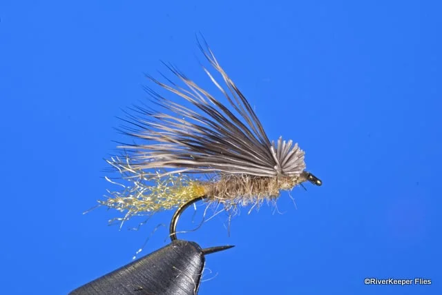 https://www.johnkreft.com/wp-content/uploads/2018/03/X-Caddis-Tan.jpg.webp