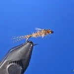 Fred's Callibaetis Nymph - Variant | www.johnkreft.com
