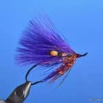 Shewey's Spawning Purple | www.johnkreft.com