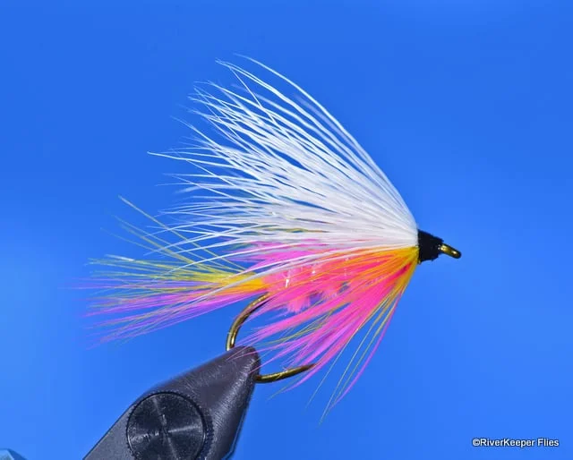 Siletz Special - Doughton Variant | www.johnkreft.com