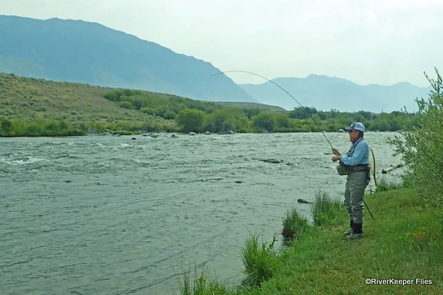 Madison River Fish On | www.johnkreft.com