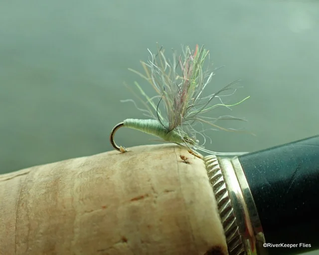 OGF Mayfly | www.johnkreft.com