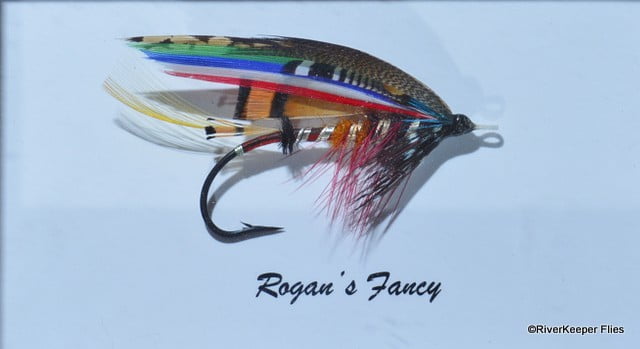 Rogan's Fancy | www.johnkreft.com