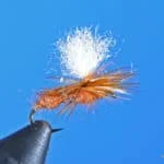 Arrick's Parachute Ant | www.johnkreft.com