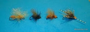 Favorite Ant Fly Patterns | www.johnkreft.com