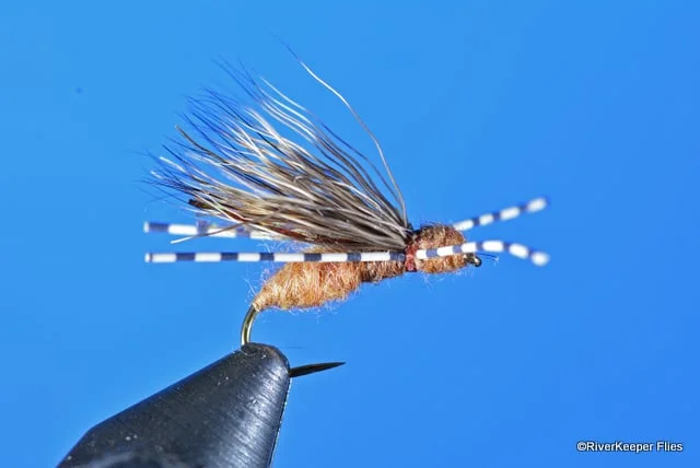 Galloup's Ant Acid | www.johnkreft.com