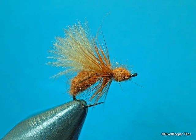 Harrop's CDC Ant - Cinnamon | www.johnkreft.com