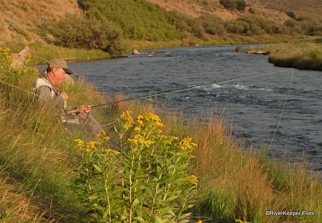 Madison River Pocket Water | www.johnkreft.com
