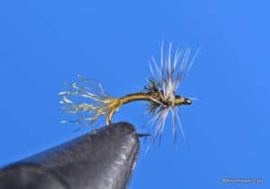 Griffith’s Gnat Emerger Fly