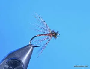 Royal Charlie | www.johnkreft.com