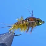Mercer's Poxyback Green Drake Nymph | www.johnkreft.com