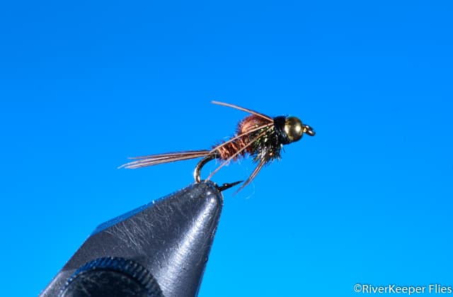 Bead Head Pheasant Tail Nymph | www.johnkreft.com