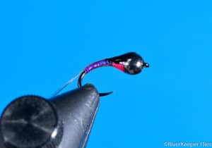 Rainbow Warrior Perdigon | www.johnkreft.com