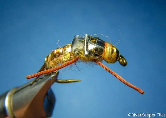 McPhail's Golden Stone Nymph - Variant | www.johnkreft.com