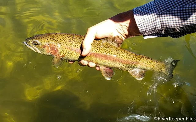 East Lake Rainbow - John | www.johnkreft.com