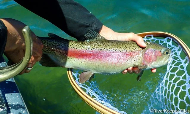 East Lake Rainbow - Karen | www.johnkreft.com