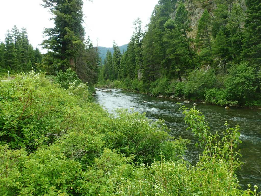 West Fork Bitterroot River - www.johnkreft.com