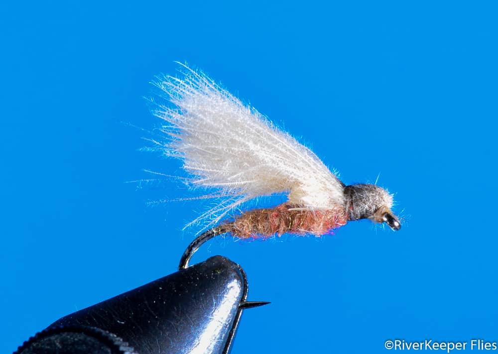 Improved F Fly | www.johnkreft.com