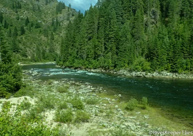 NF Clearwater at Orogrande Creek | www.johnkreft.com