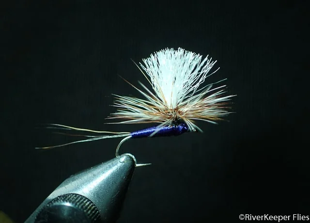 Purple Haze | www.johnkreft.com