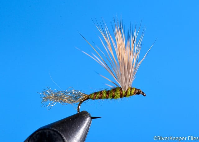 Sparkle Dun - Flav | www.johnkreft.com