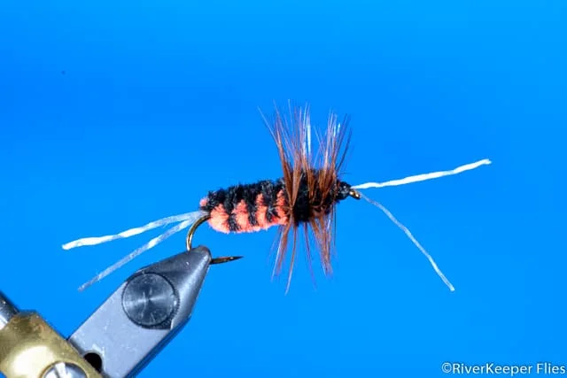 Bitch Creek Nymph | www.johnkreft.com