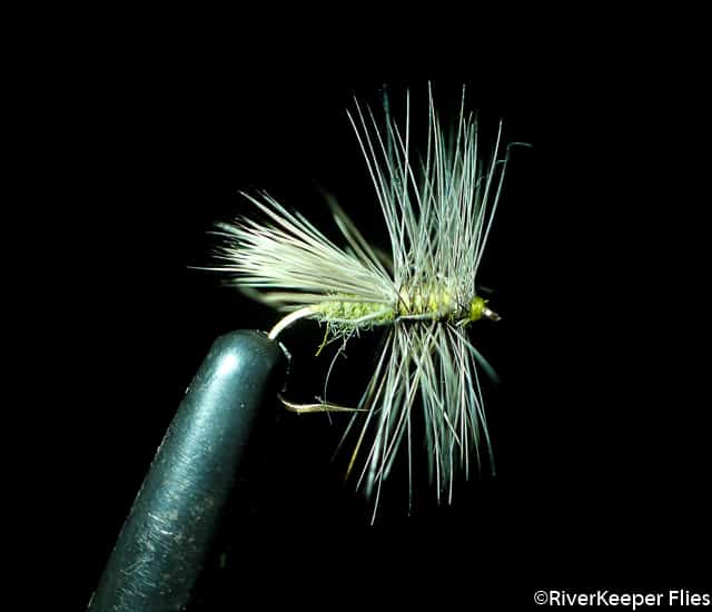 Light Caddis Variant | www.johnkreft.com