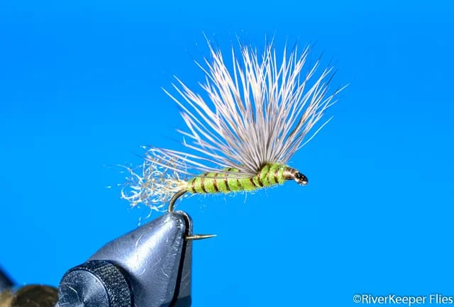 Sparkle Dun Green Drake | www.johnkreft.com