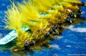 Wood Duck Damsels | www.johnkreft.com