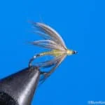 RiverKeeper Soft Hackle Cripple PMD | www.johnkreft.com