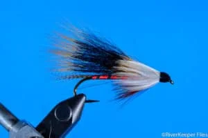Roxey’s Red Squirrel Tail | www.johnkreft.com