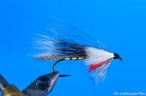 Roxie's Gray Squirrel Tail | www.johnkreft.com