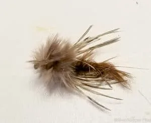 Sparrow Fly | www.johnkreft.com