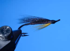 Gordon Fancy Atlantic Salmon Fly