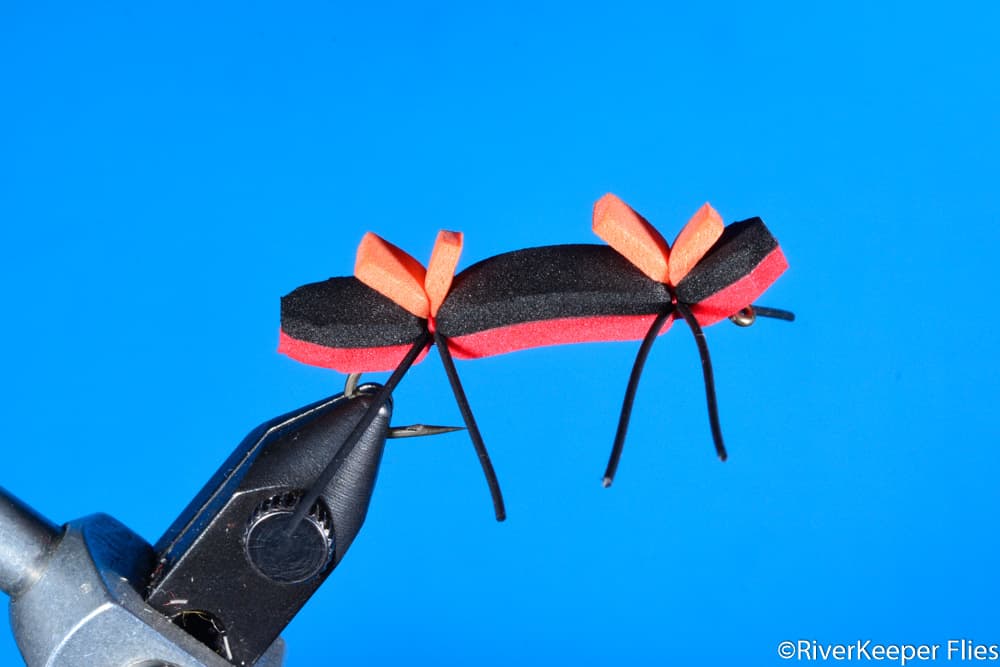 Chernobyl Ant Black & Red | www.johnkreft.com