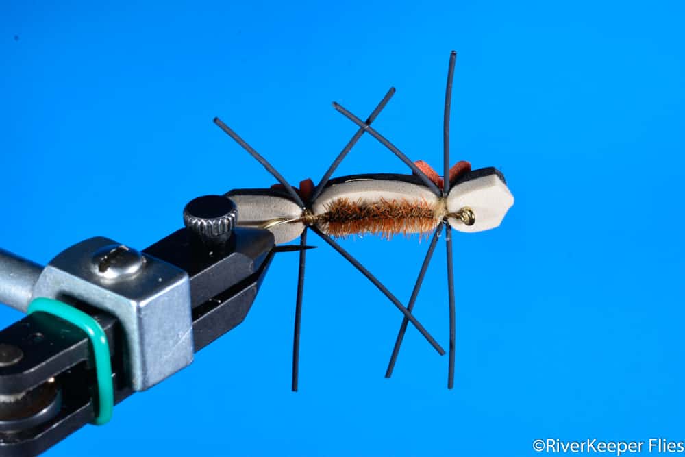 Chernobyl Ant Black & Tan - Bottom View | www.johnkreft.com