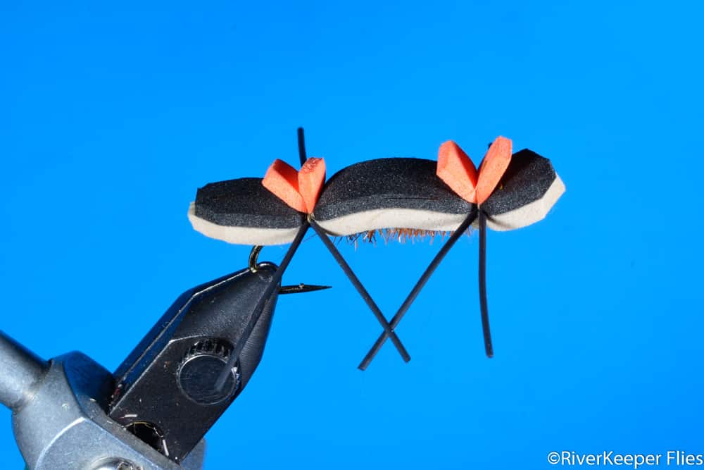 Chernobyl Ant Black & Tan | www.johnkreft.com
