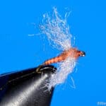 Rusty Spinner Biot Body | www.johnkreft.com