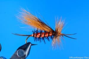Bob Jacklin Salmonfly
