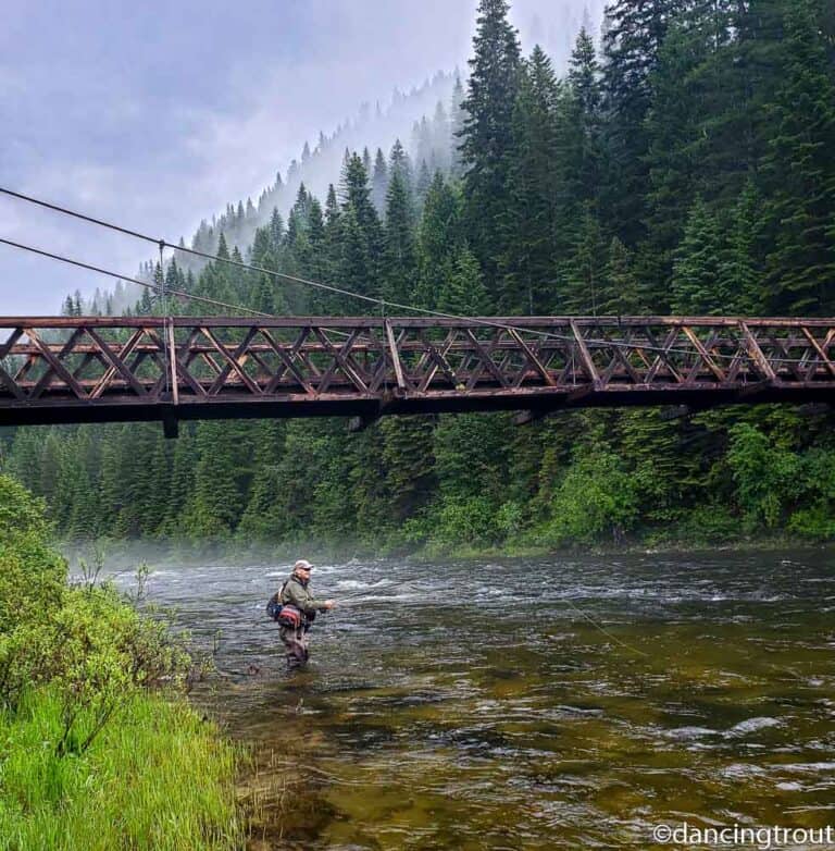 2020 Kelly Creek and NF Clearwater River Fly Fishing RiverKeeper Flies