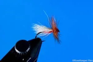 Northern Idaho Trude | www.johnkreft.com