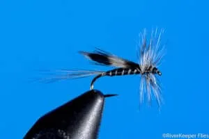 California Mosquito | www.johnkreft.com