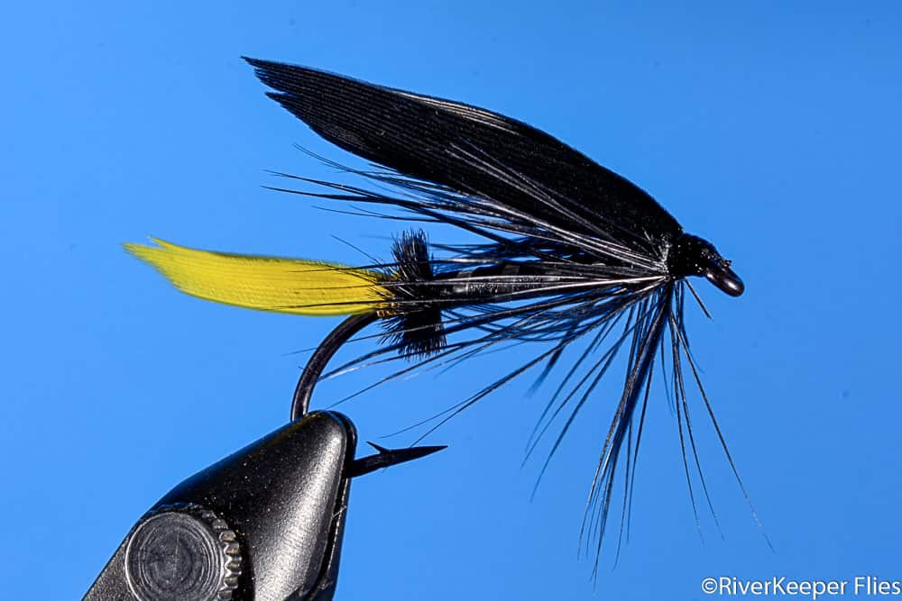 Benn's Black Gordon | www.johnkreft.com