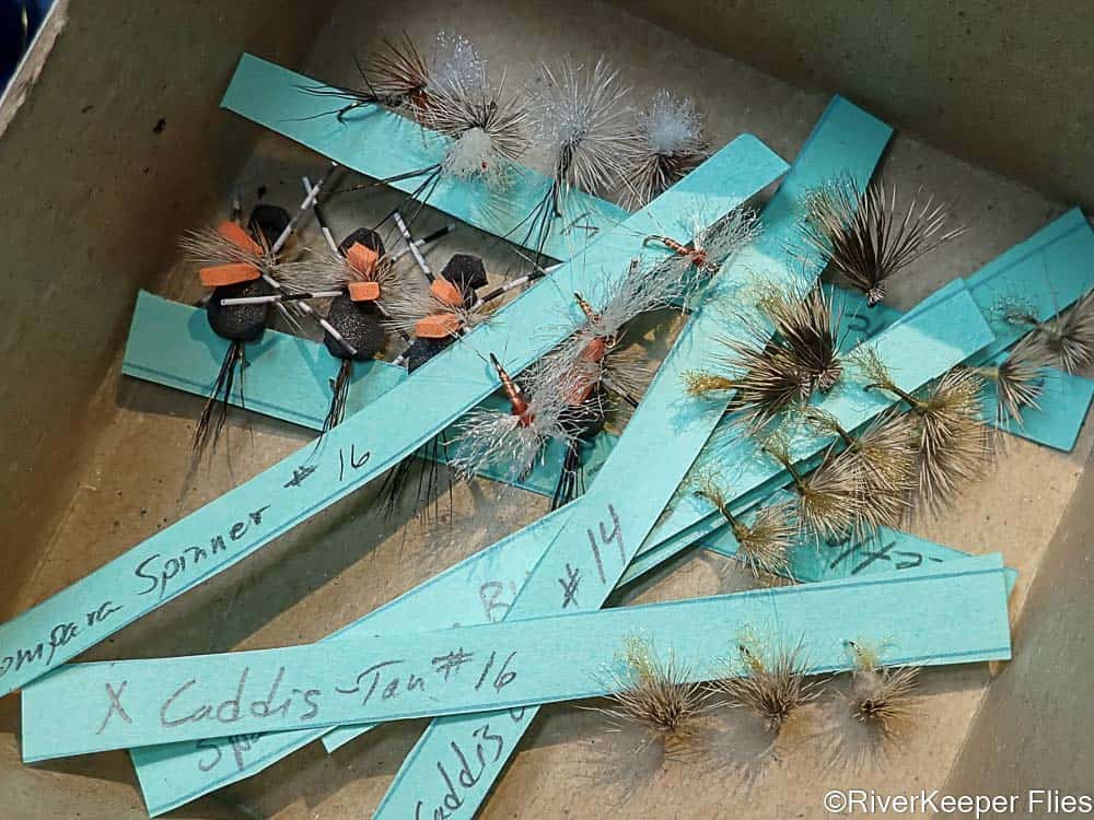 Box of Flies | www.johnkreft.com