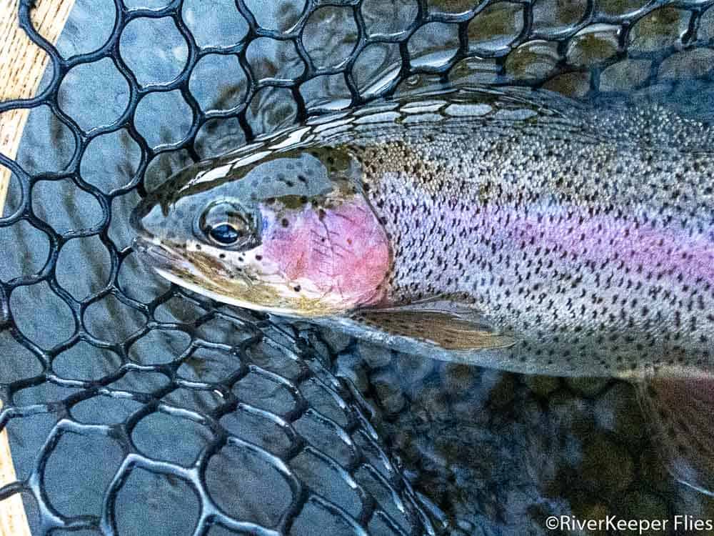 Madison Rainbow | www.johnkreft.com