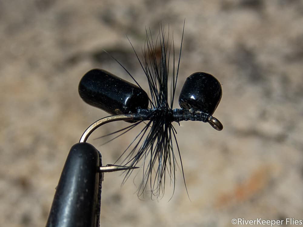McMurray Ant | www.johnkreft.com