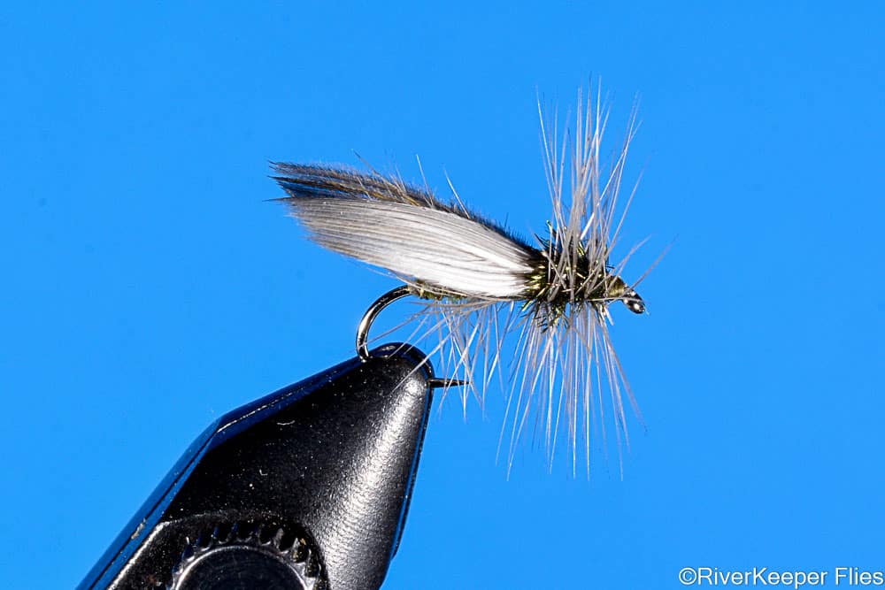 Hemingway Caddis - Olive | www.johnkreft.com