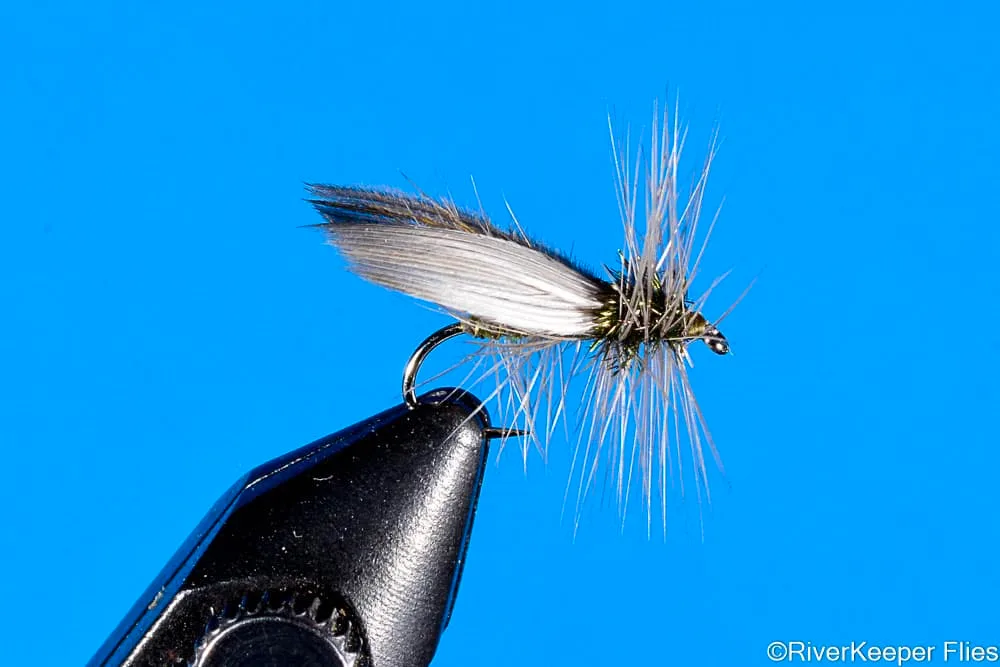 Hemingway Caddis - Olive | www.johnkreft.com