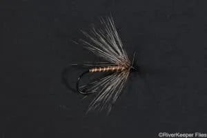 Astorga Manuscript - Fly 1 | www.johnkreft.com